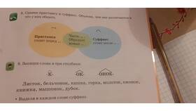 Чем отличается суффикс от приставки в Самбери