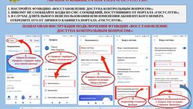 Как изменить доступ к Госуслугам в Самбери