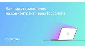 Как передать документы и информацию через Госуслуги в Самбери