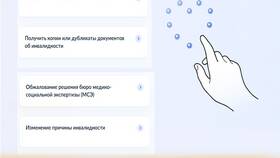 Как получить справку об инвалидности через Госуслуги в Самбери