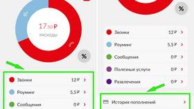 Как посмотреть детализацию расходов в Самбери