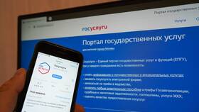 Как посмотреть рейтинговые баллы на Госуслугах в Самбери