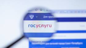 Как узнать возраст учетной записи на Госуслугах в Самбери