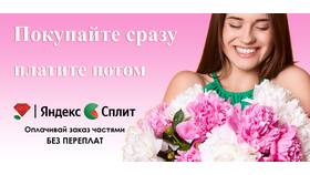 Как вернуть баланс сплита в Яндекс Маркете в Самбери