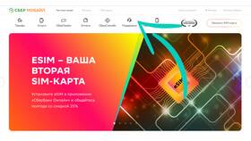 Как взять обещанный платеж через телефон в Самбери
