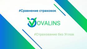 Мини-КАСКО Росгосстрах: что страхует