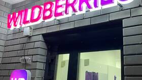 Почему Wildberries так называется: происхождение названия