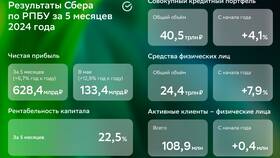С чего начать инвестиции в Сбербанке в Самбери