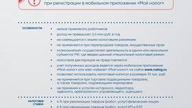 Юридические лица (ЮЛ) и индивидуальные предприниматели (ИП): основные различия в Самбери