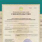 Как сделать ИНН в налоговой